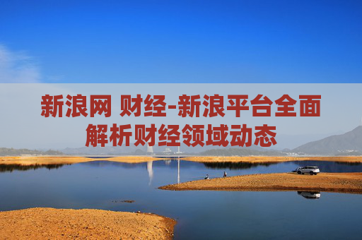 新浪网 财经-新浪平台全面解析财经领域动态