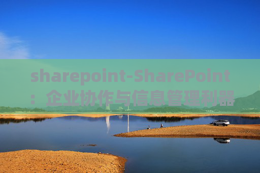 sharepoint-SharePoint：企业协作与信息管理利器