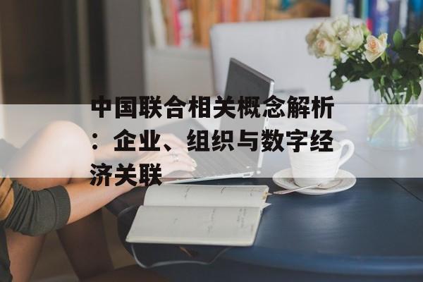 中国联合相关概念解析：企业、组织与数字经济关联