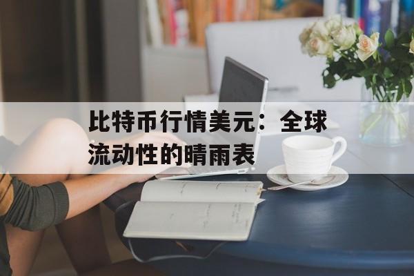 比特币行情美元：全球流动性的晴雨表